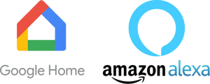 Google Home and Amazon Alexa